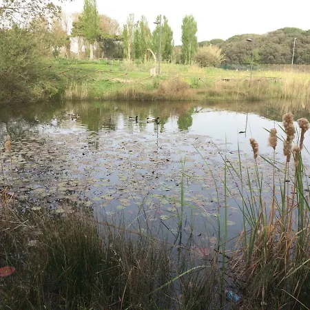 Apartman Casa Daniele Lido di Ostia